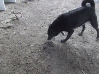 /album/fenykepgaleria/dscf3024-jpg/