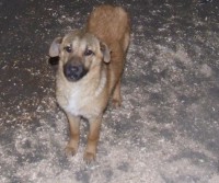 /album/fenykepgaleria/dscf1917-1-jpg1/